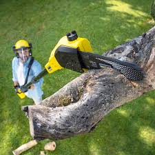 Best Lawn Grading and Leveling  in Glasgow, VA