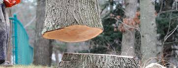 Best Storm Damage Tree Cleanup  in Glasgow, VA