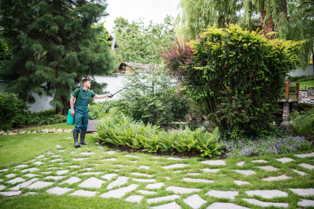 Best Lawn Pest Prevention  in Glasgow, VA