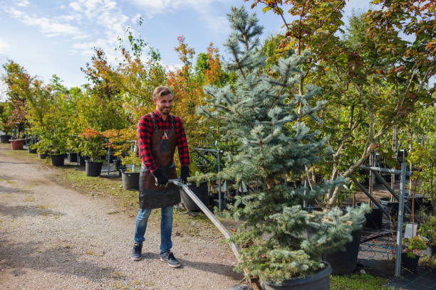 Best Commercial Tree Services  in Glasgow, VA