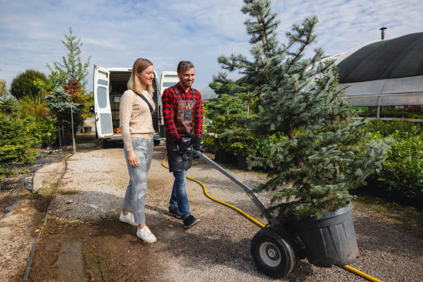Best Tree Health Inspection  in Glasgow, VA