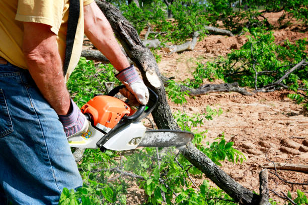 Best Lawn Watering Services  in Glasgow, VA